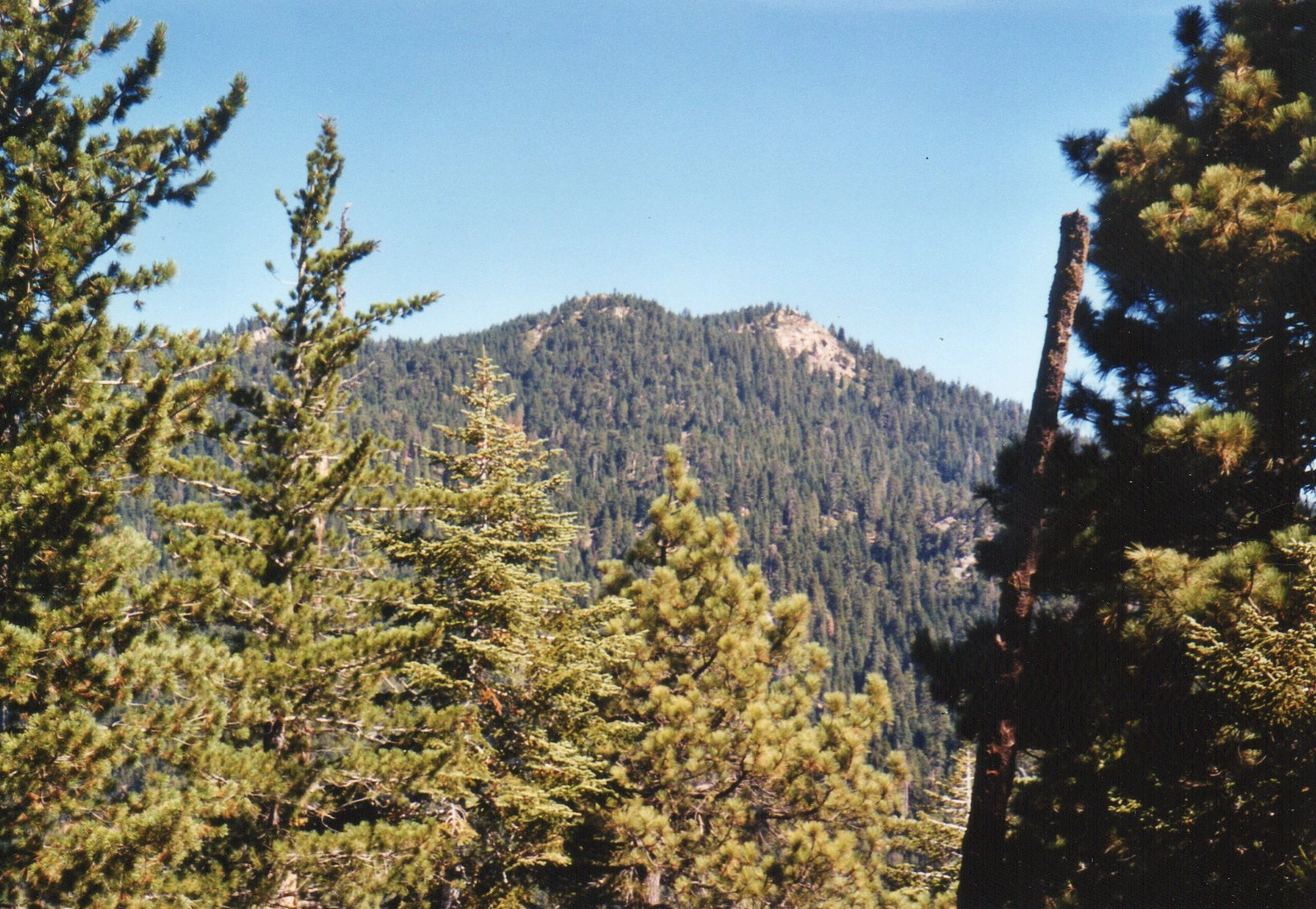 Sunday Peak, taken from Bohna