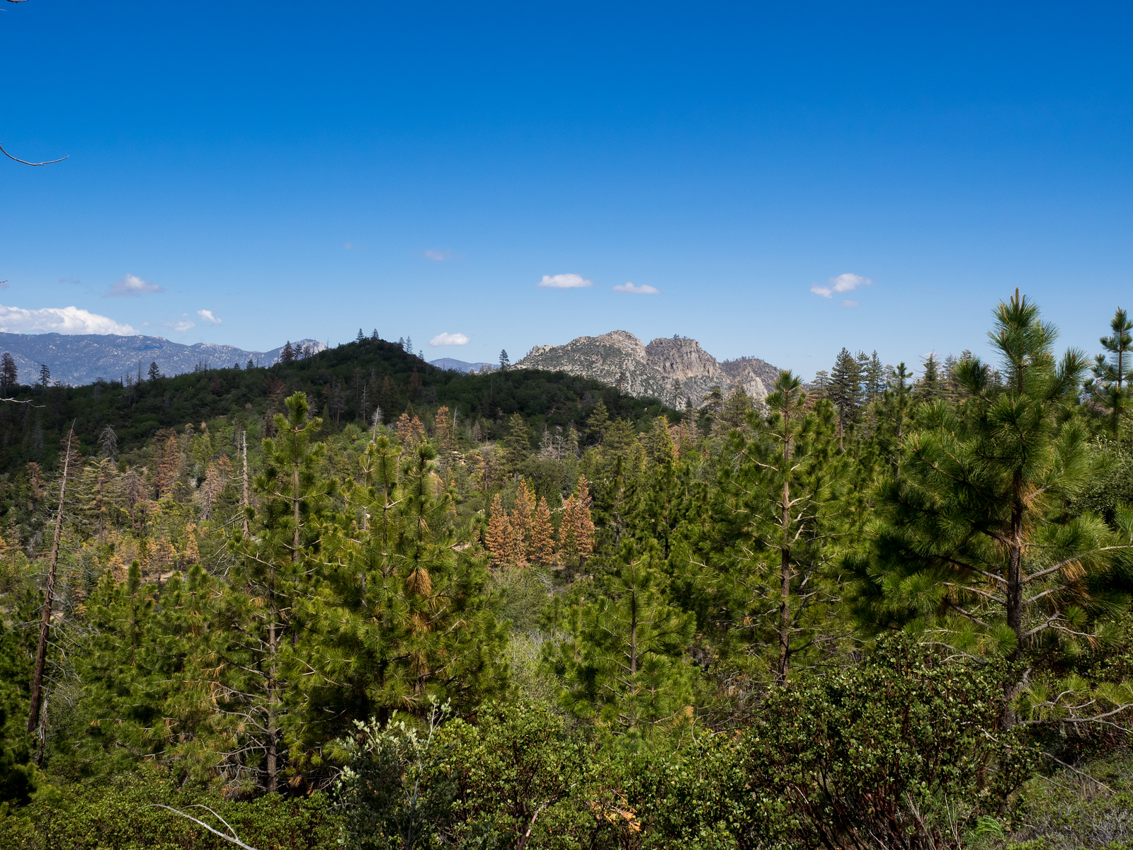 Split Mountain and Black Mountain #5, taken from Sunday Peak