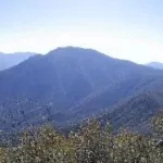 Black Mountain #5