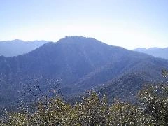 Black Mountain #5