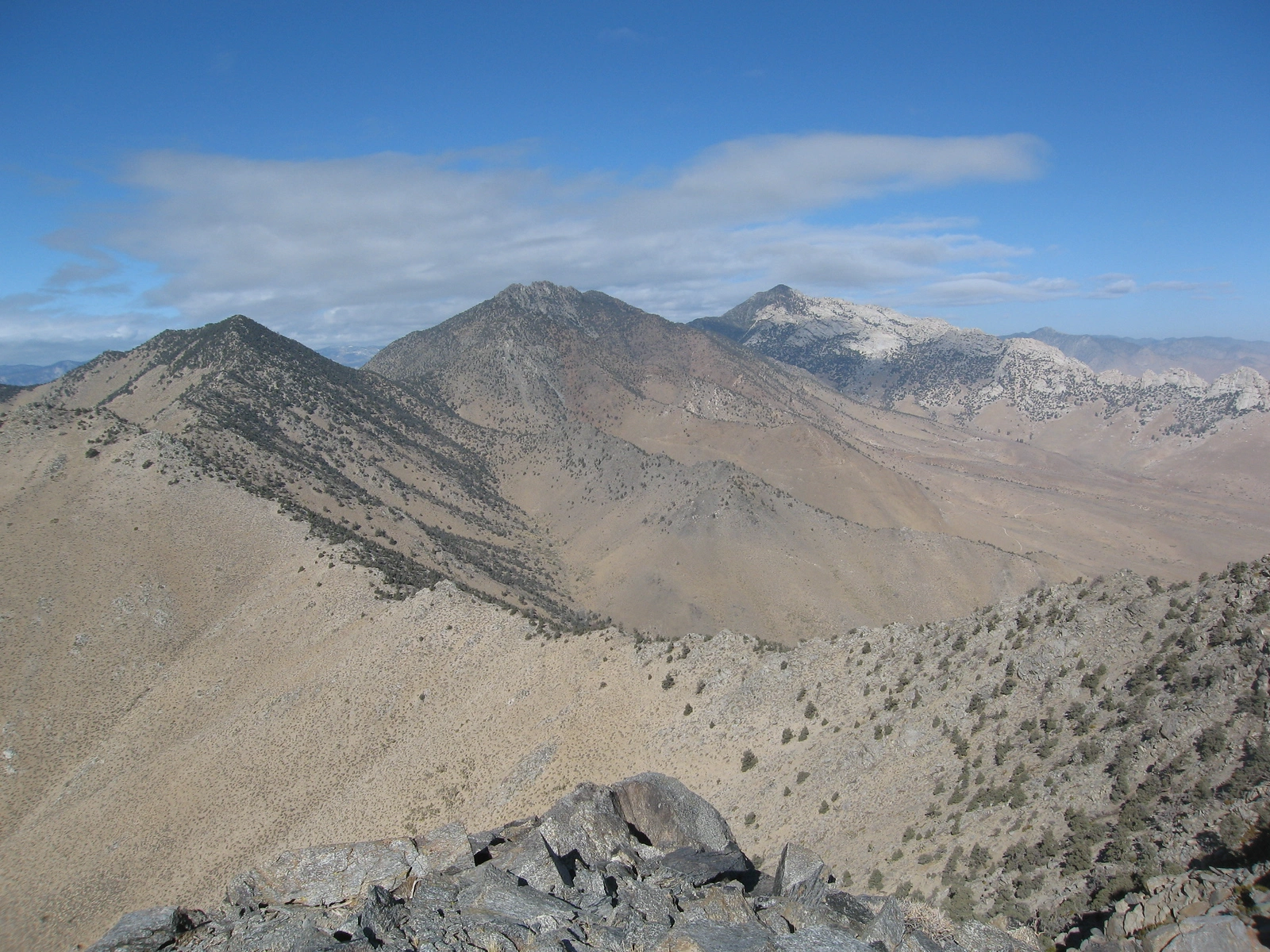 Morris Jenkins and Owens Peaks
