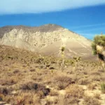 Backus Peak