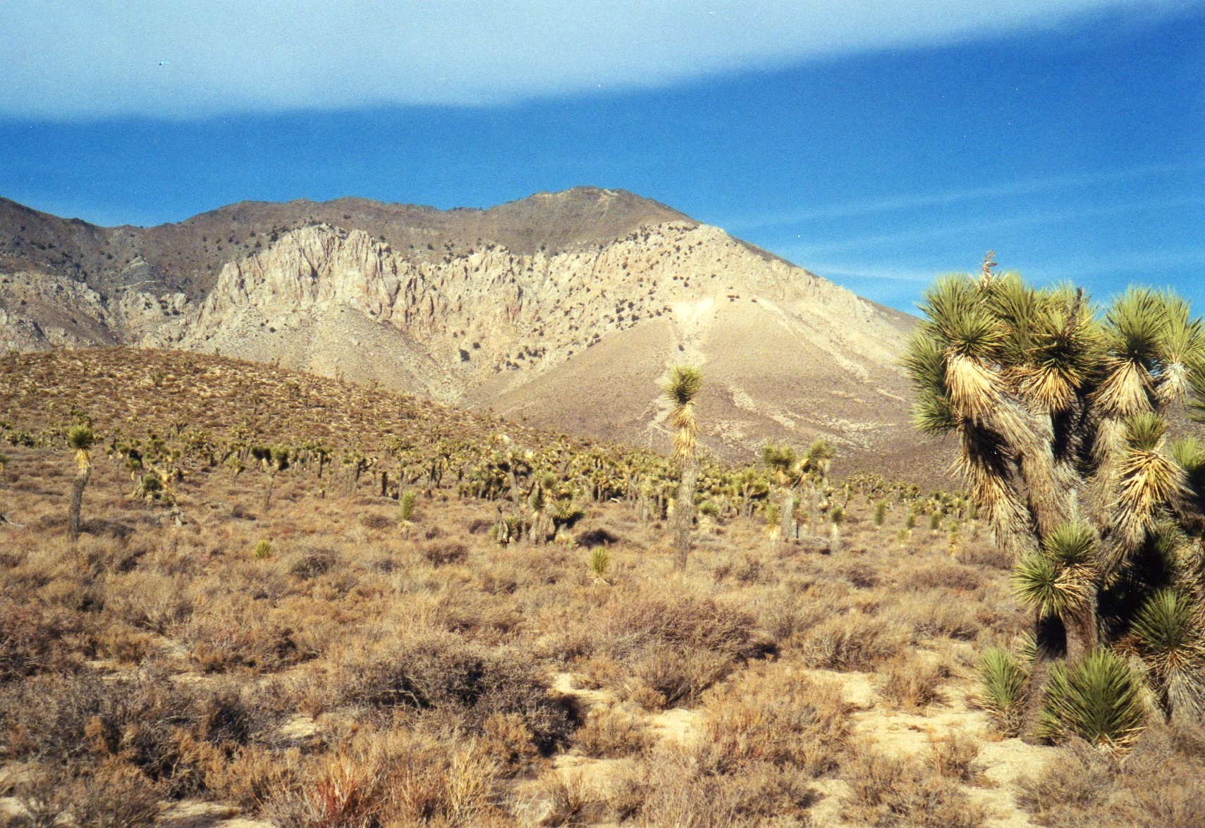 Backus Peak