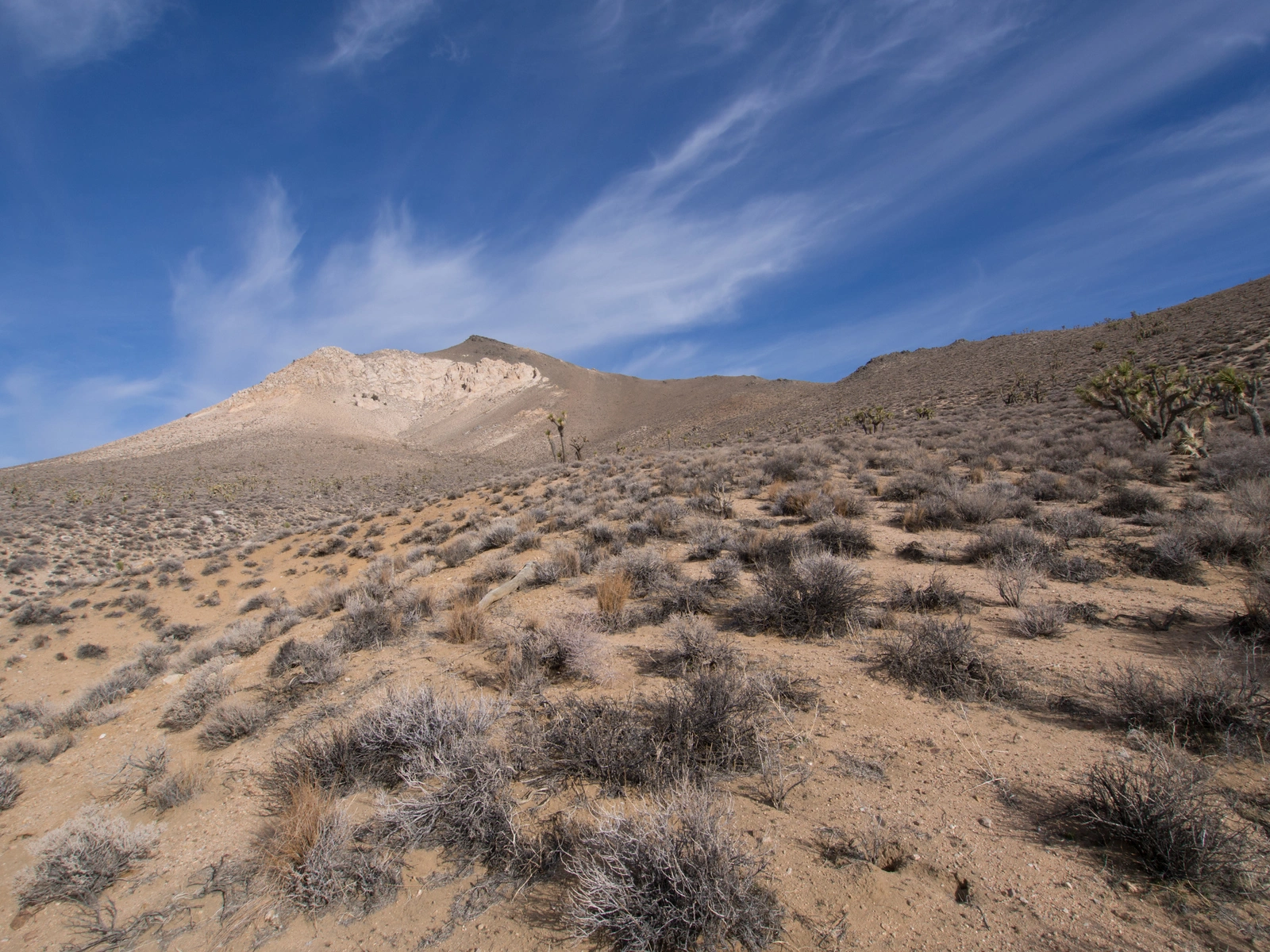 Backus Peak