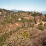 Lightner Peak
