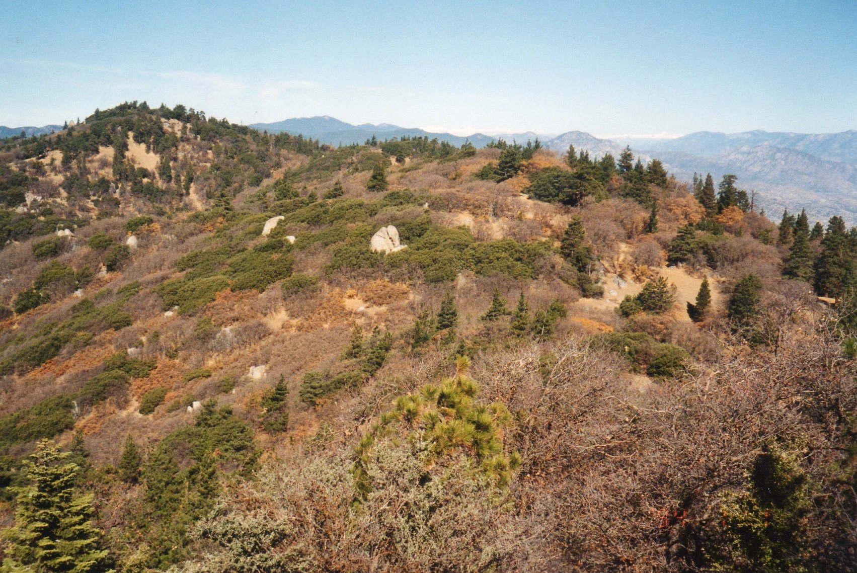 Lightner Peak