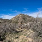 Pinyon Peak