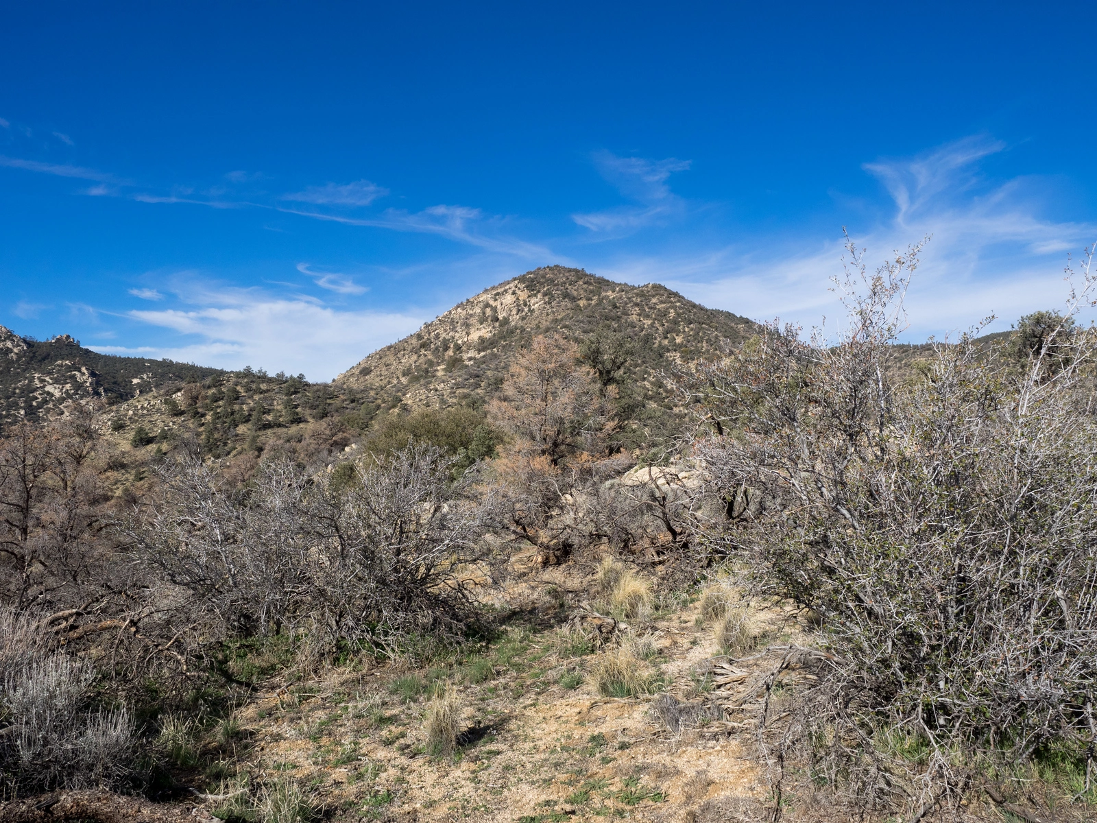 Pinyon Peak