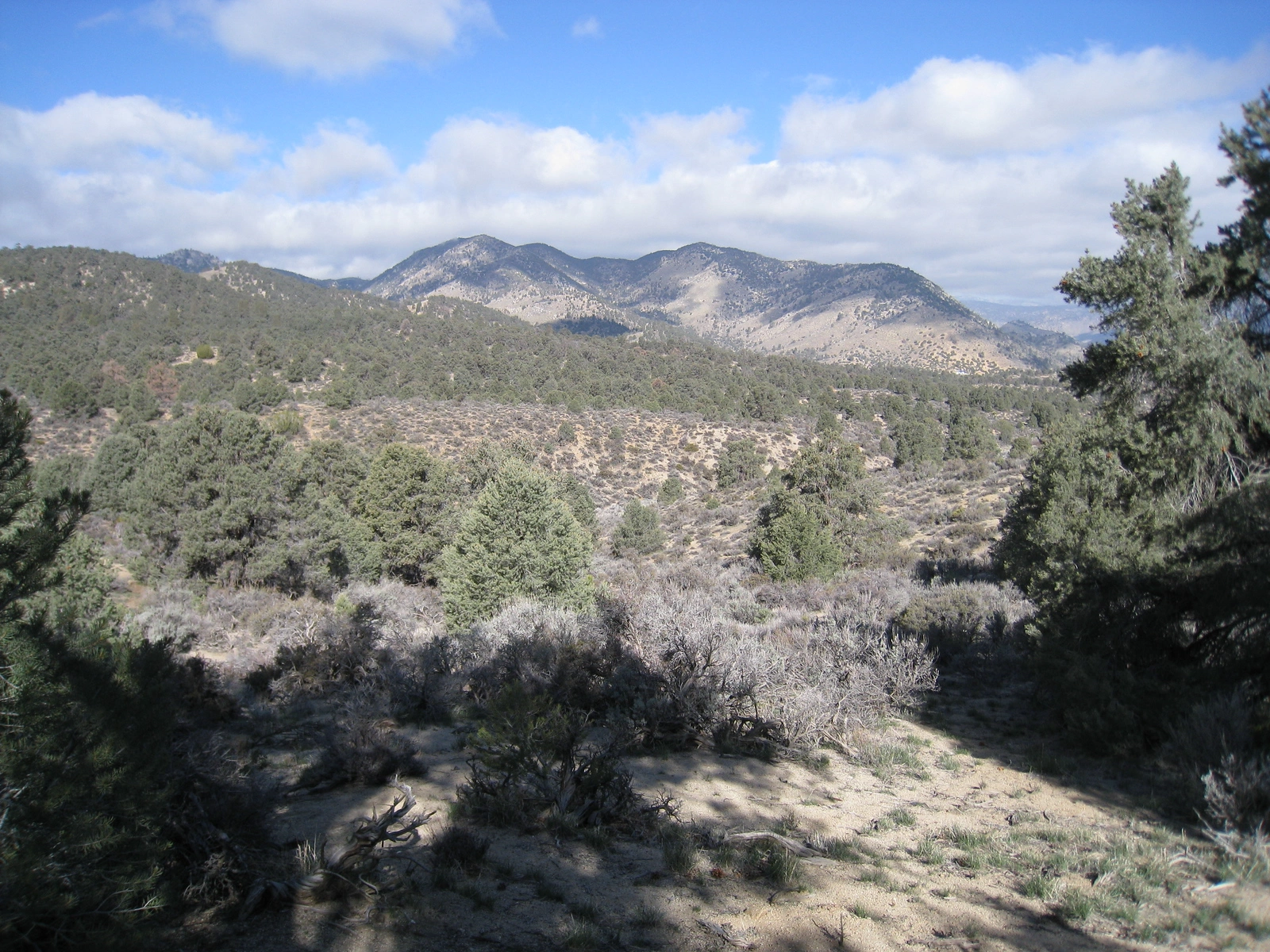 Scodie Mountain, taken from the PCT