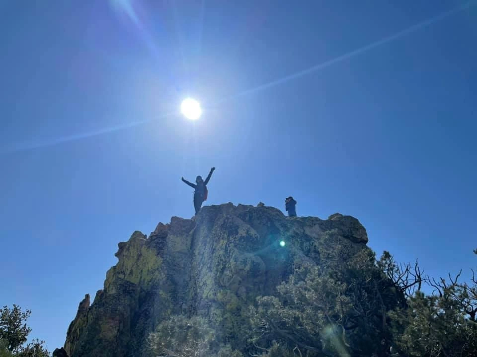 Scodie Summit