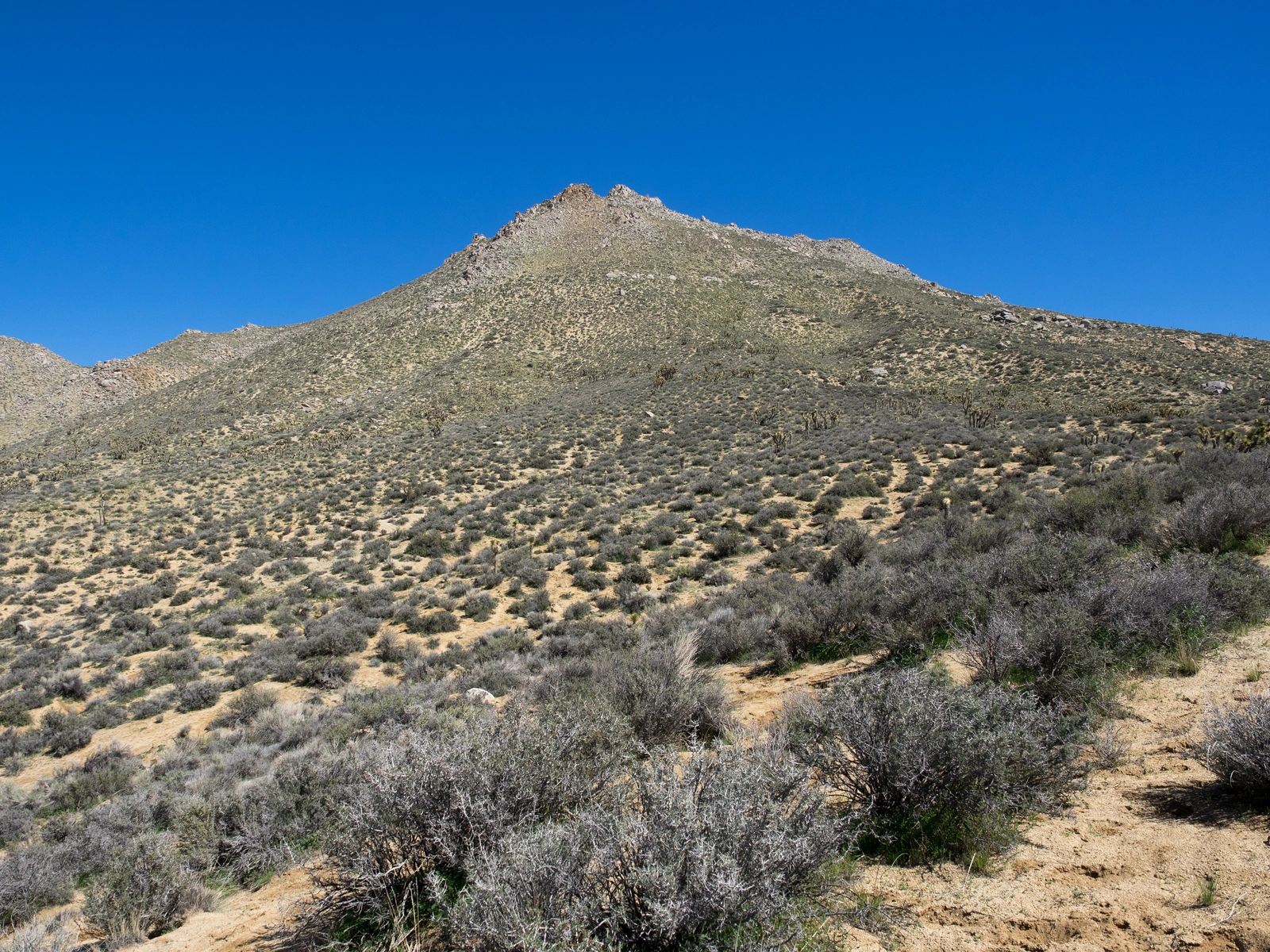 Mayan Peak