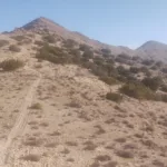 Chuckwalla Mountain