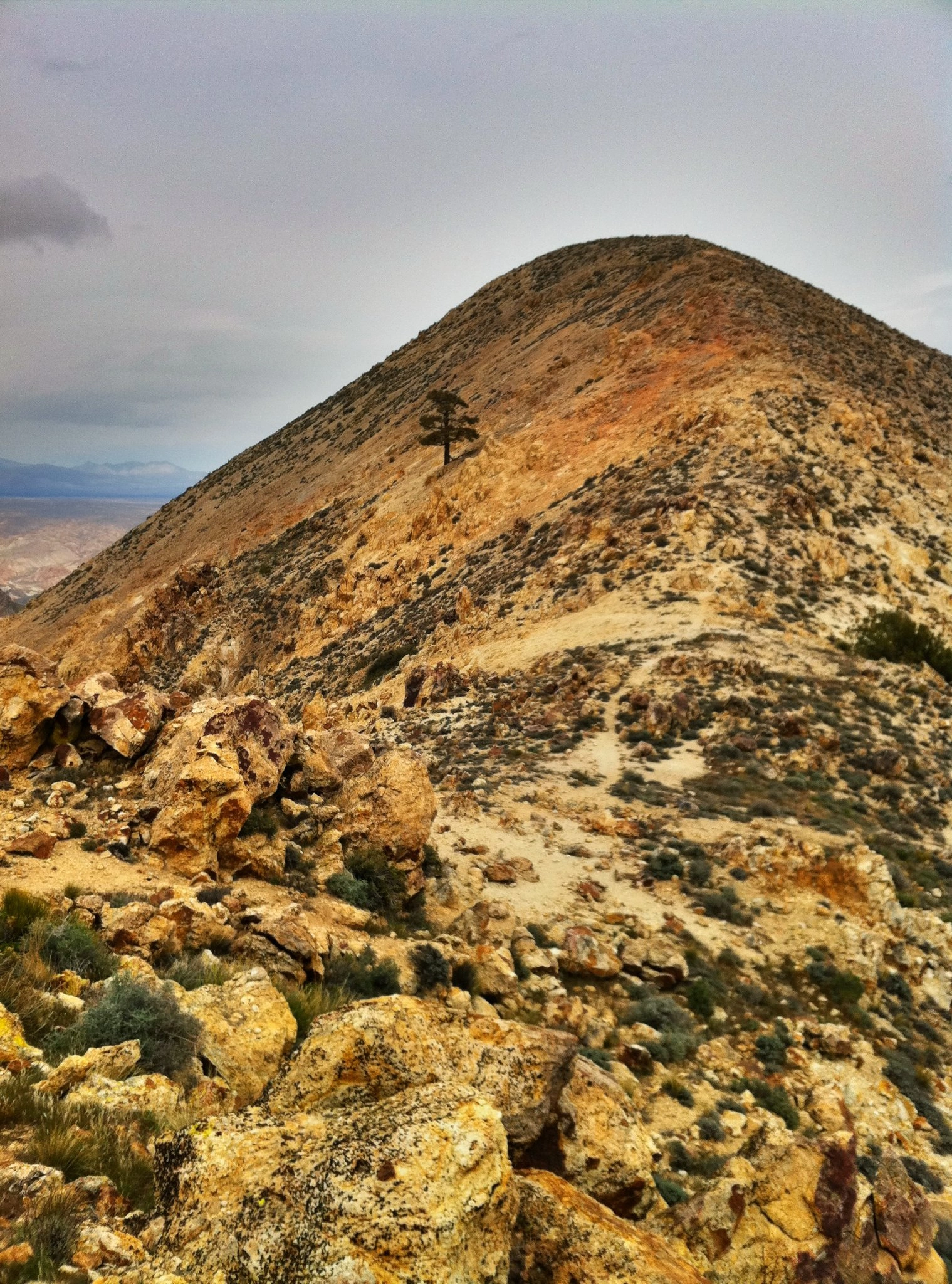 Chuckwalla Summit