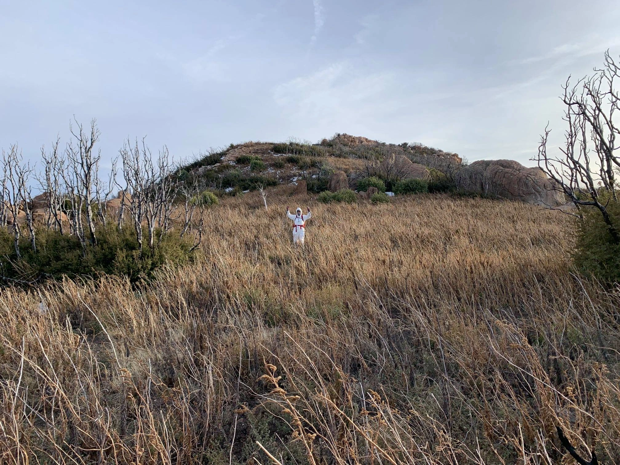 Sandy Lara braving Poodle Dog Bush on Heald Peak