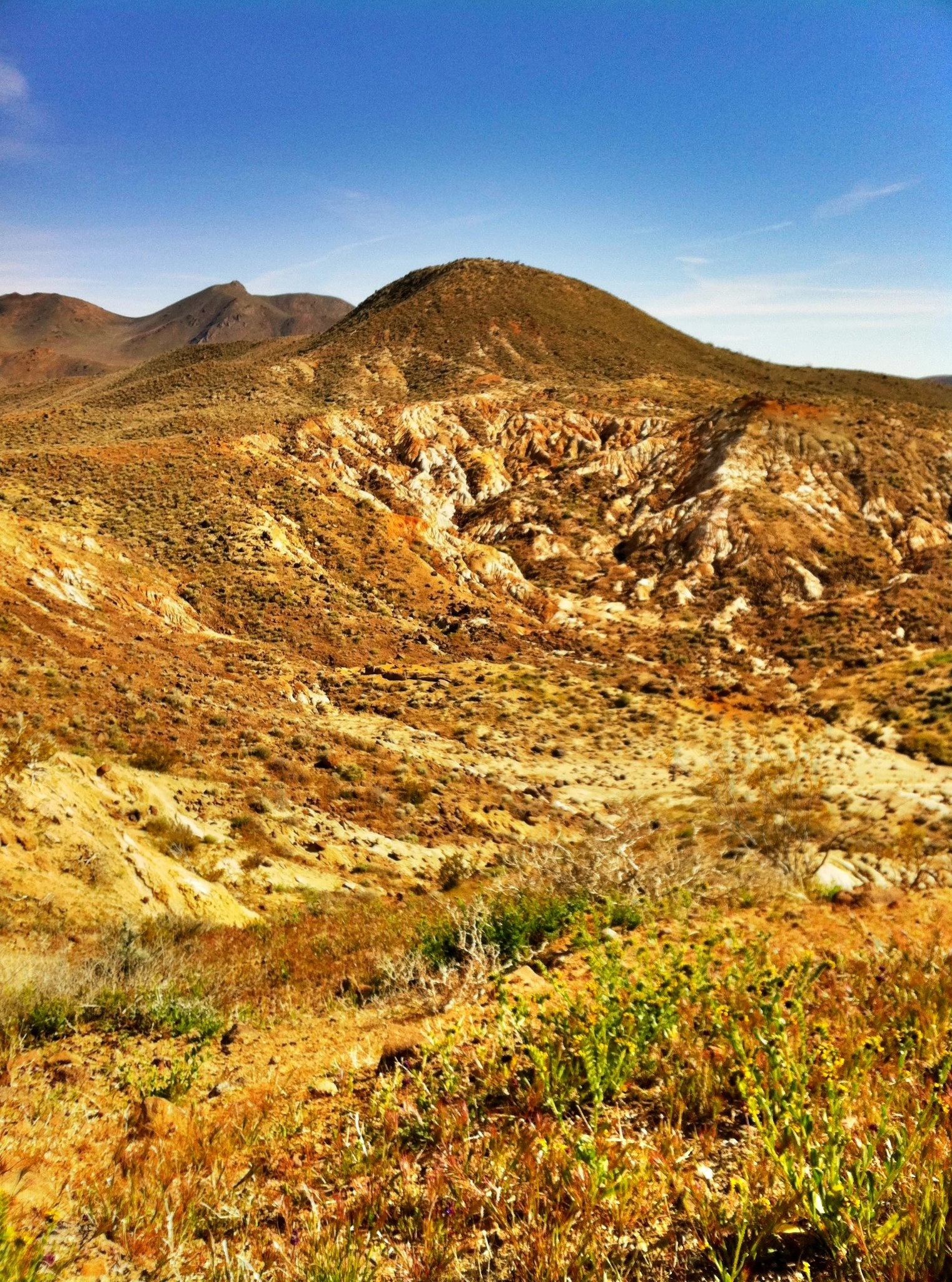 Black Mountain #6