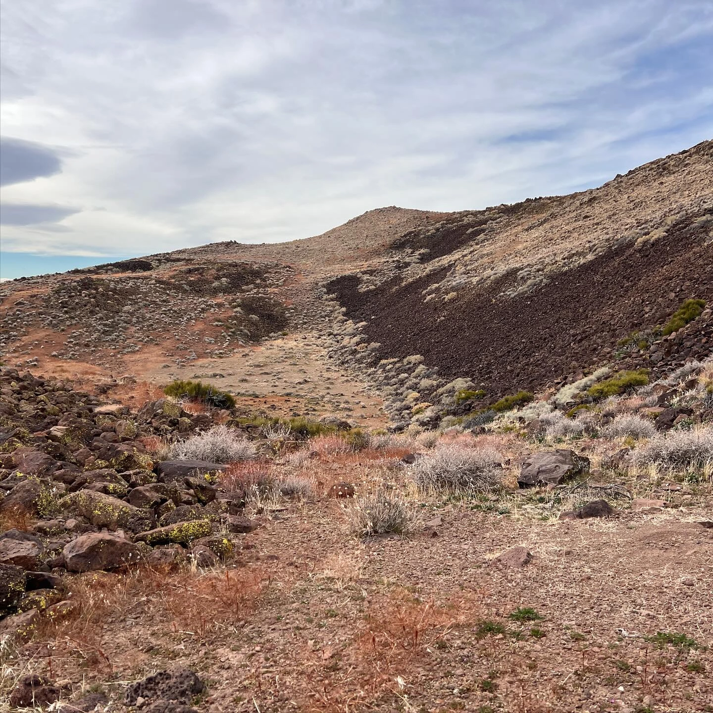 Lava Field near Black Mountain #6