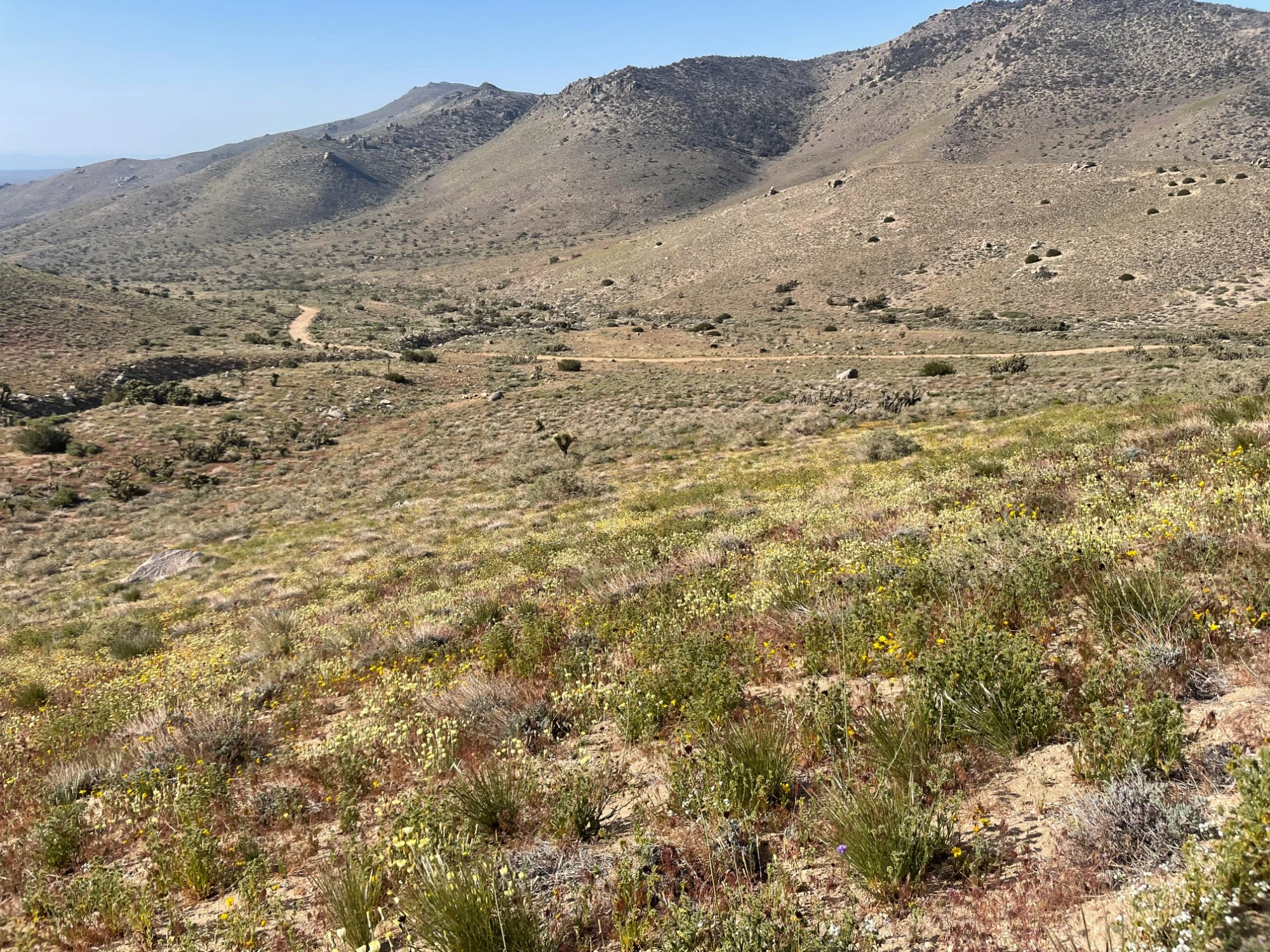 Skinner Peak, taken from Route #1