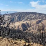 Liebre Mountain