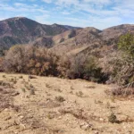 Burnt Peak