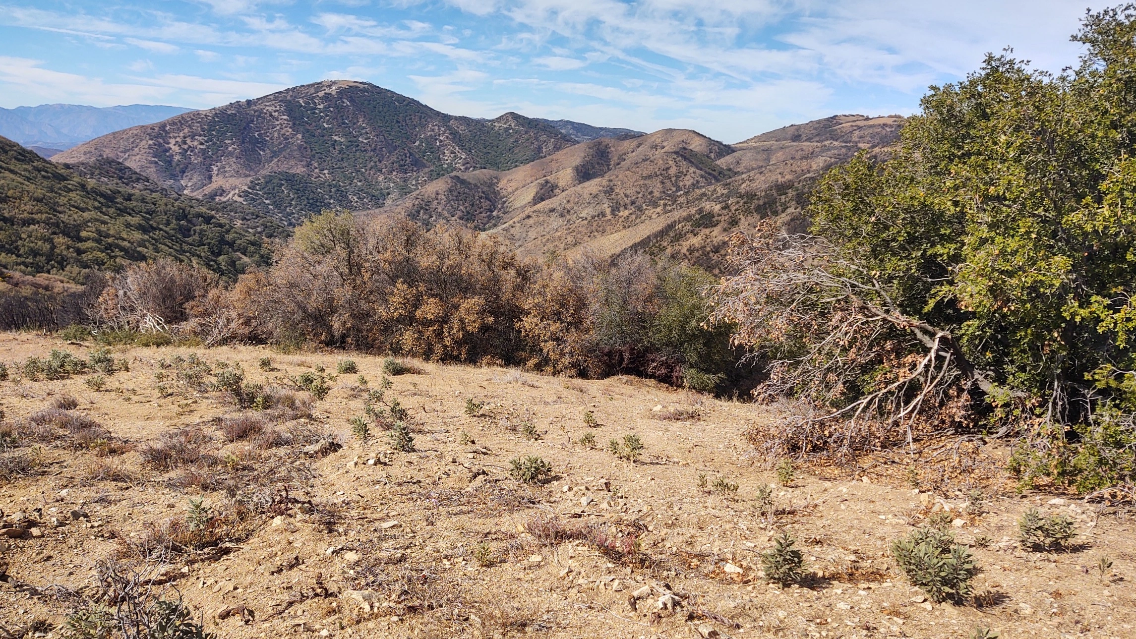 Burnt Peak
