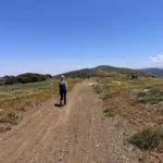 Mount McDill