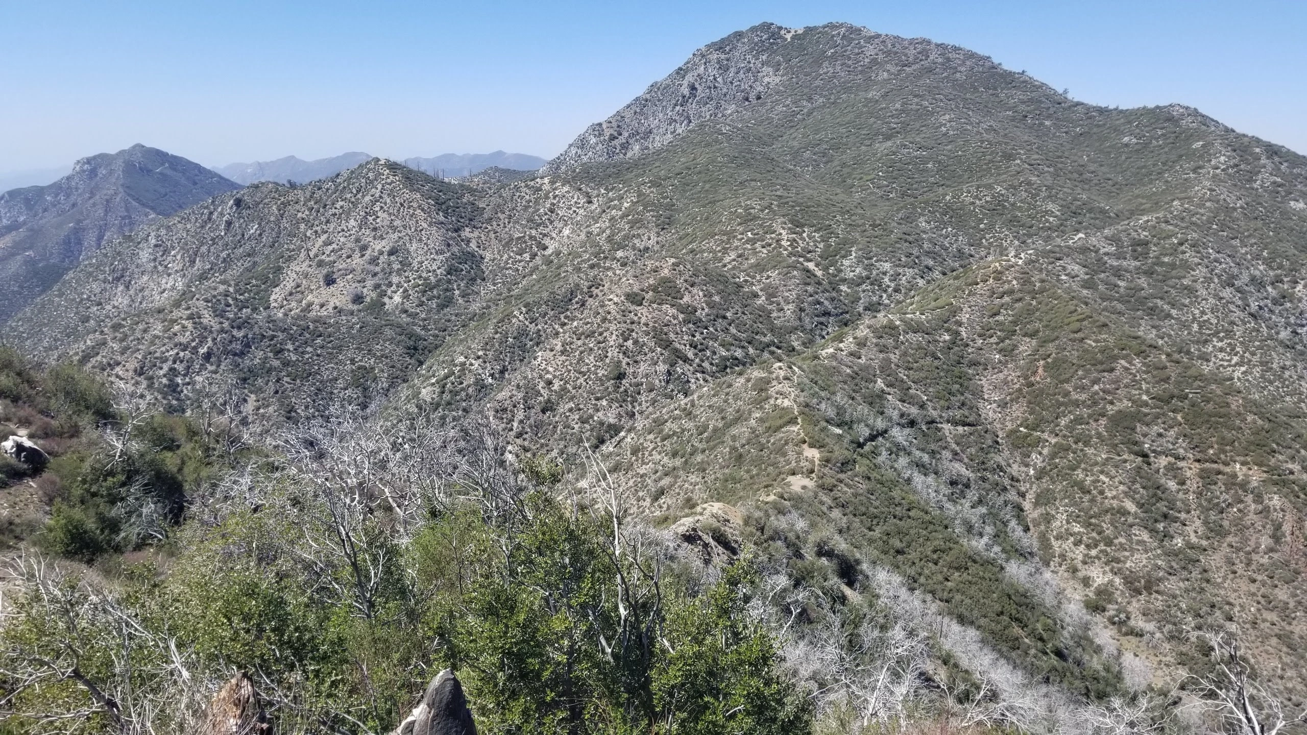Mount Lawlor, taken from Strawberry