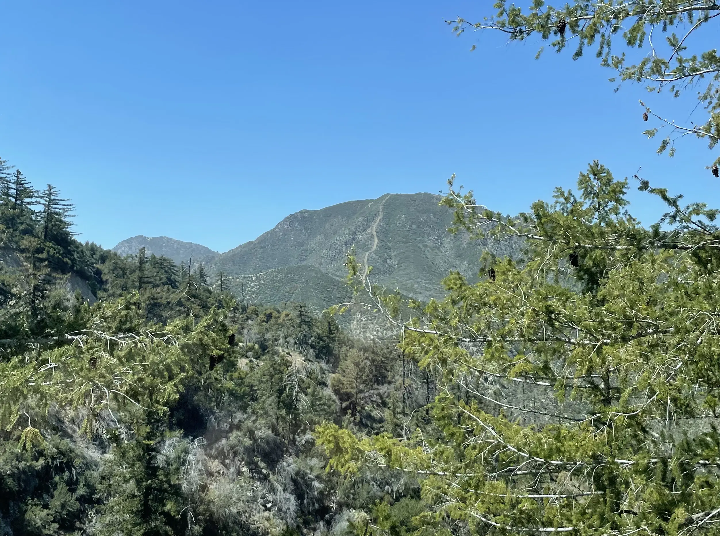 Mount Lawlor Route 2 from Mount Wilson Road