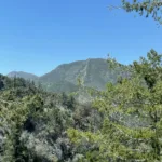 Mount Lawlor Route 2 from Mount Wilson Road