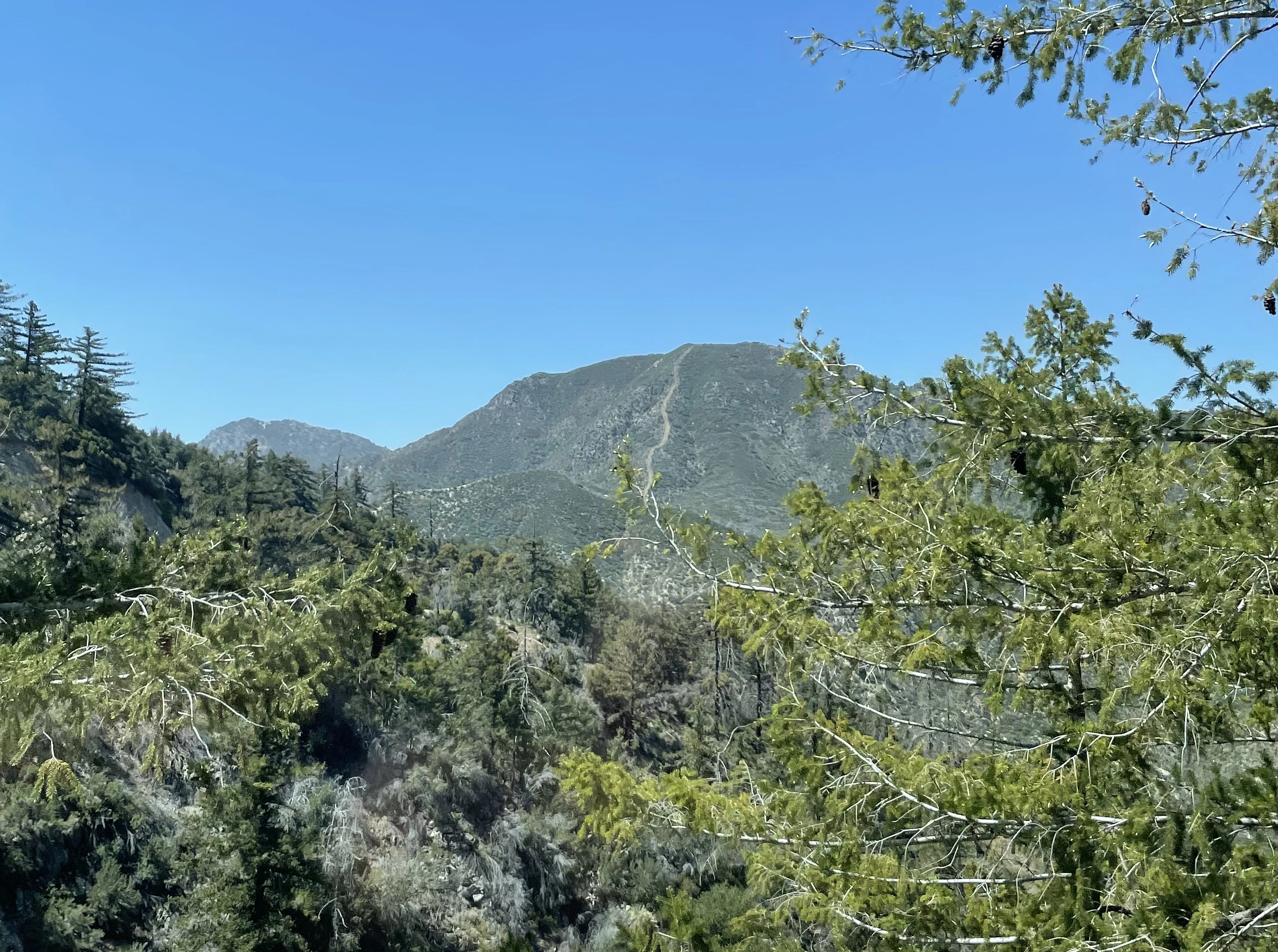 Mount Lawlor Route 2 from Mount Wilson Road