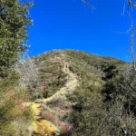 Mount Lawlor