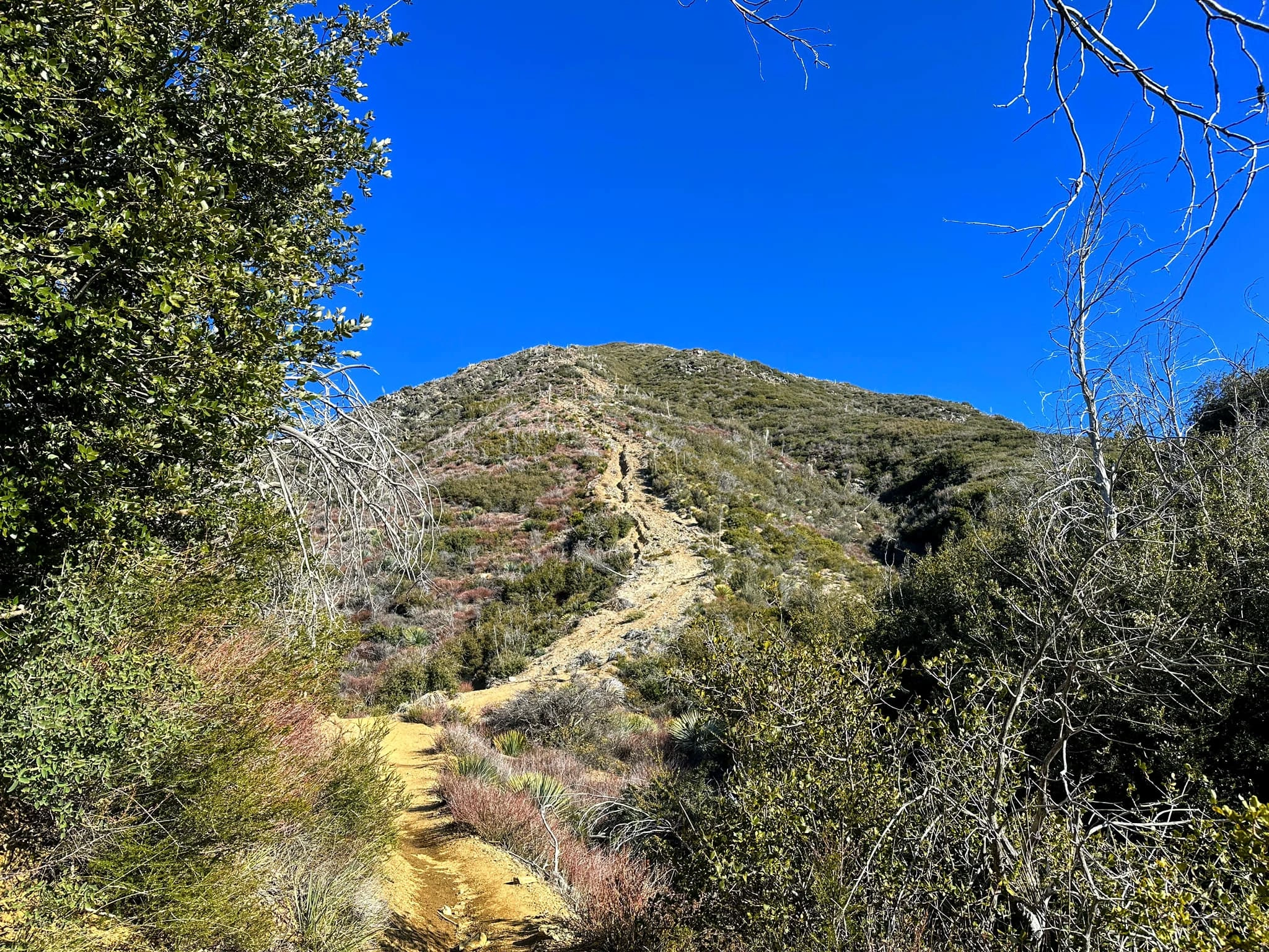 Mount Lawlor