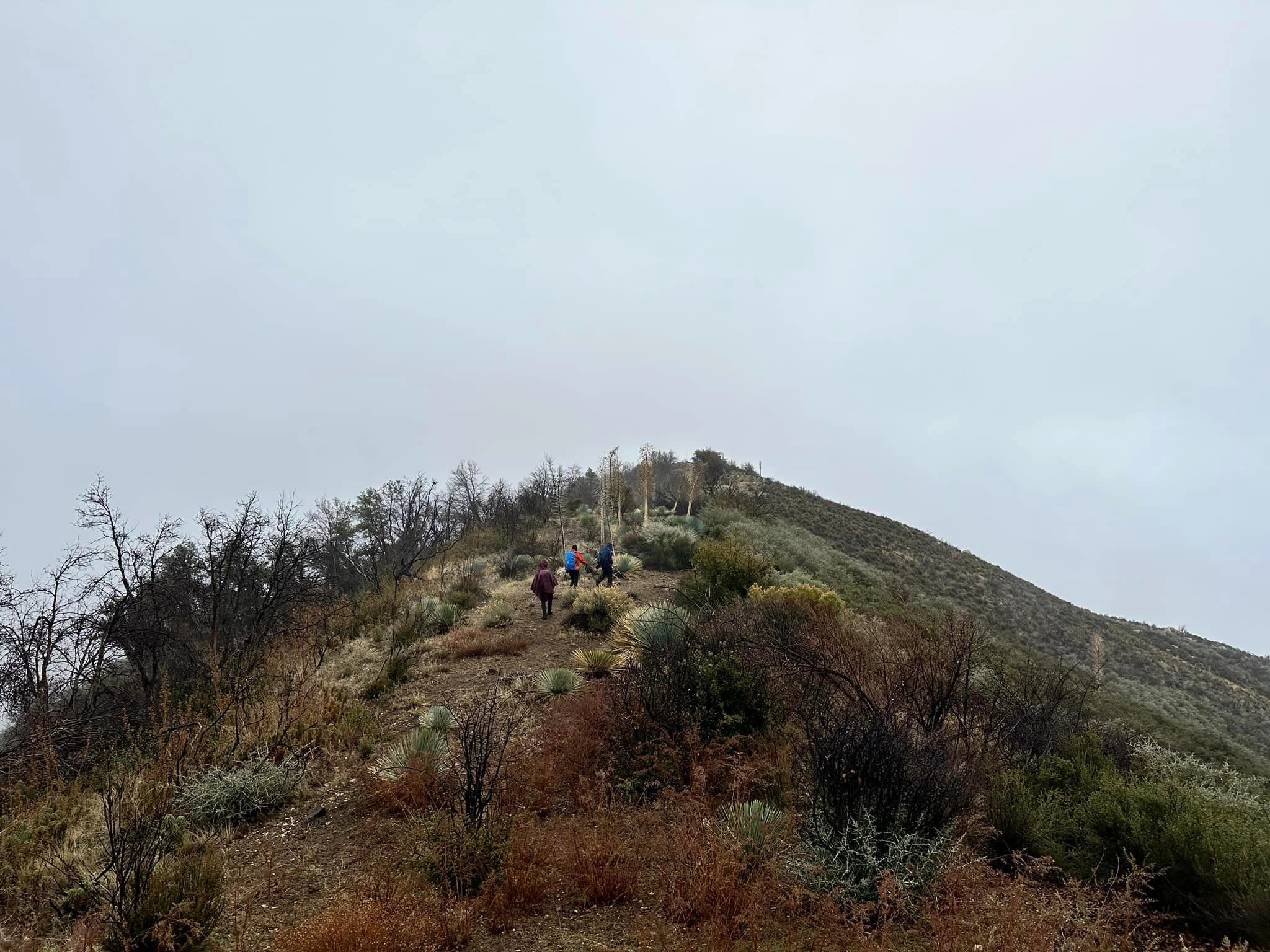 Mount Sally