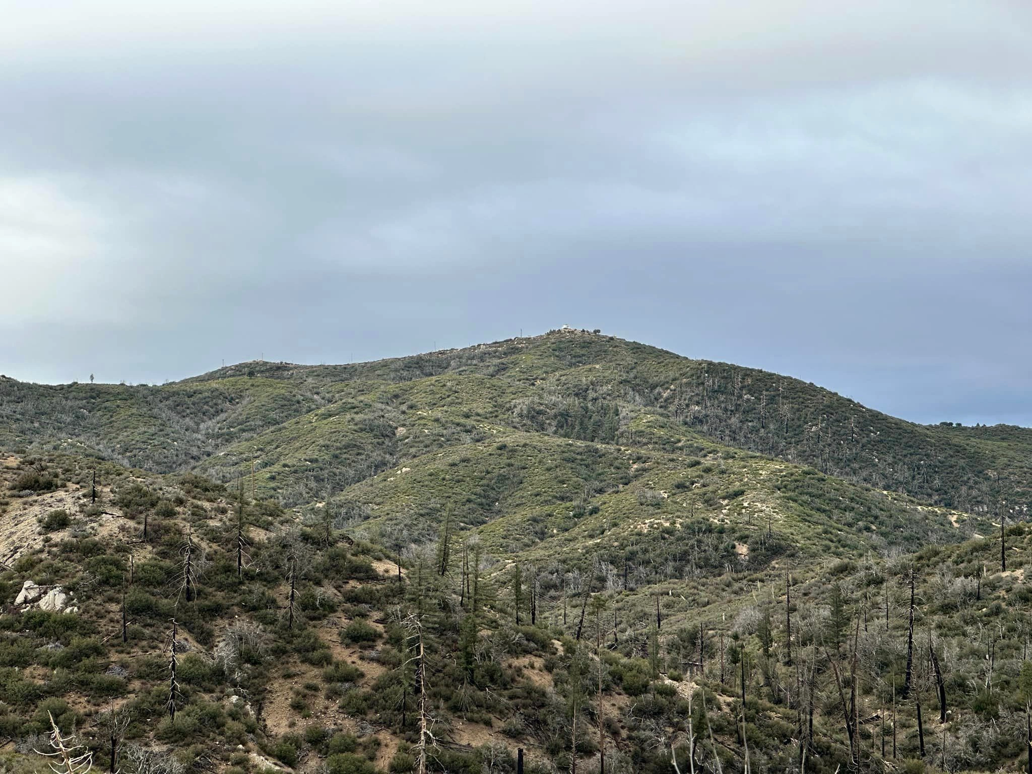 Vetter Mountain Lookout