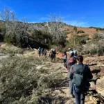 Mount Mooney