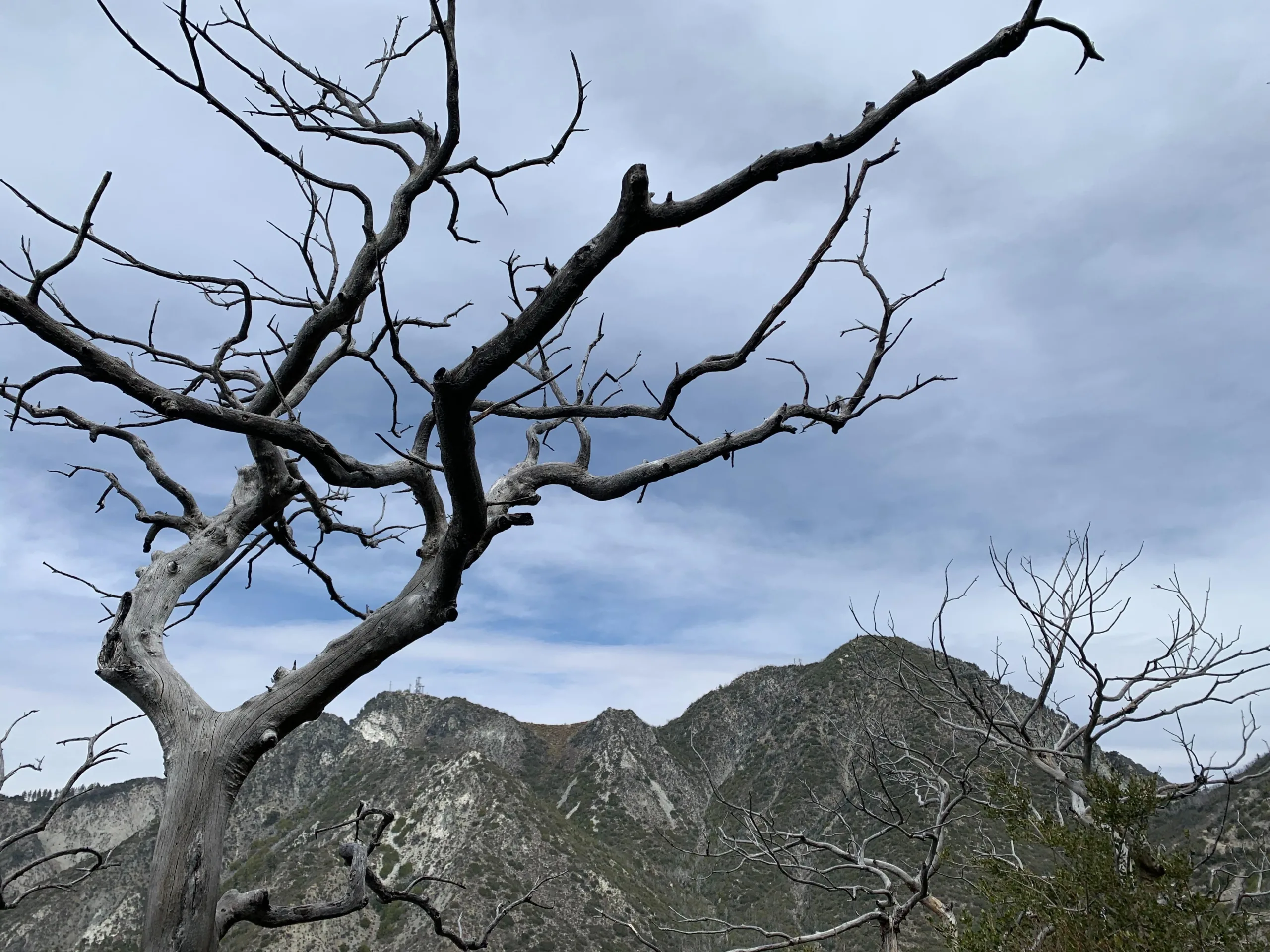 Mount Disappointment and San Gabriel Peak
