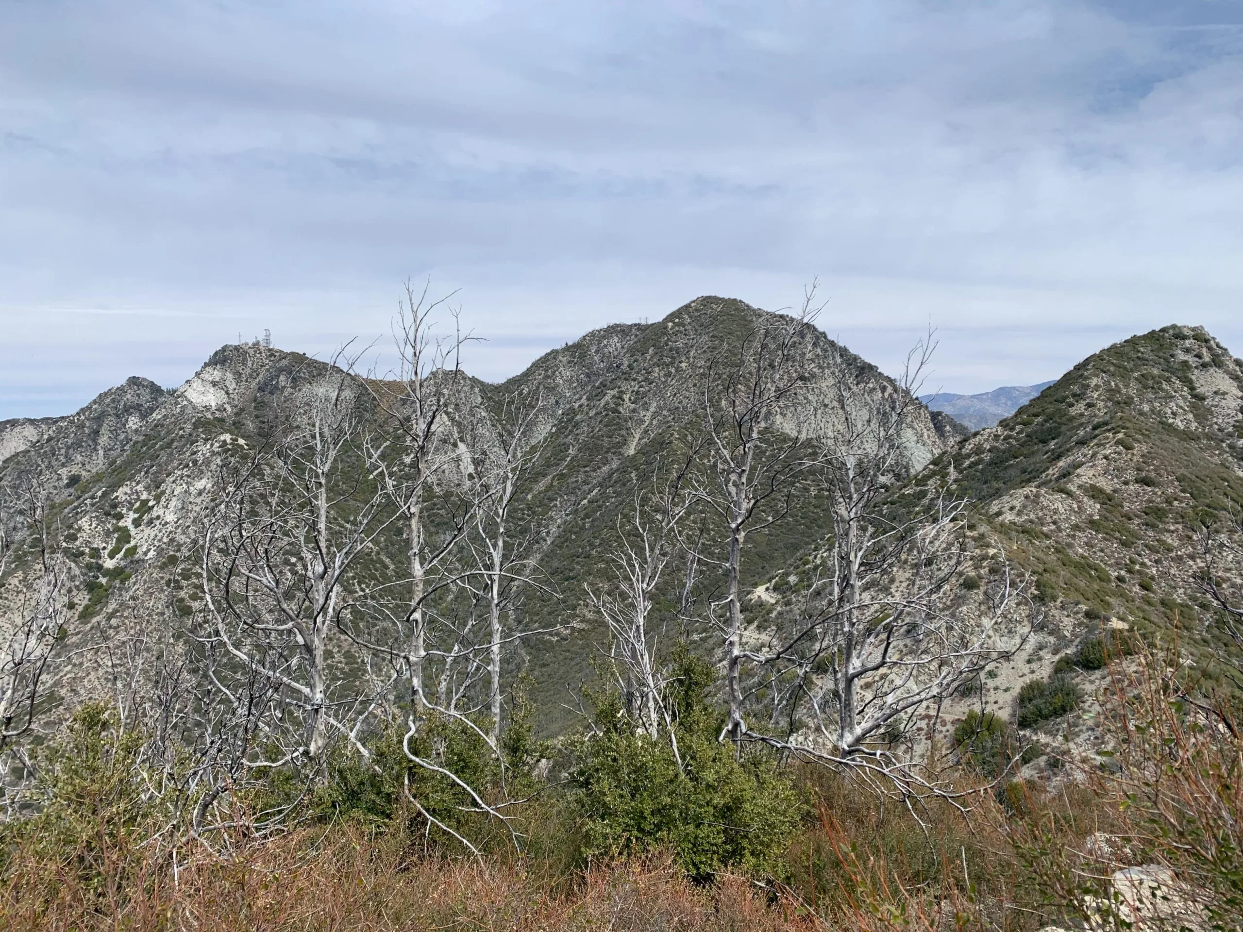 San Gabriel Peak, taken from Lowe