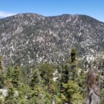 Waterman, taken from Twin Peaks