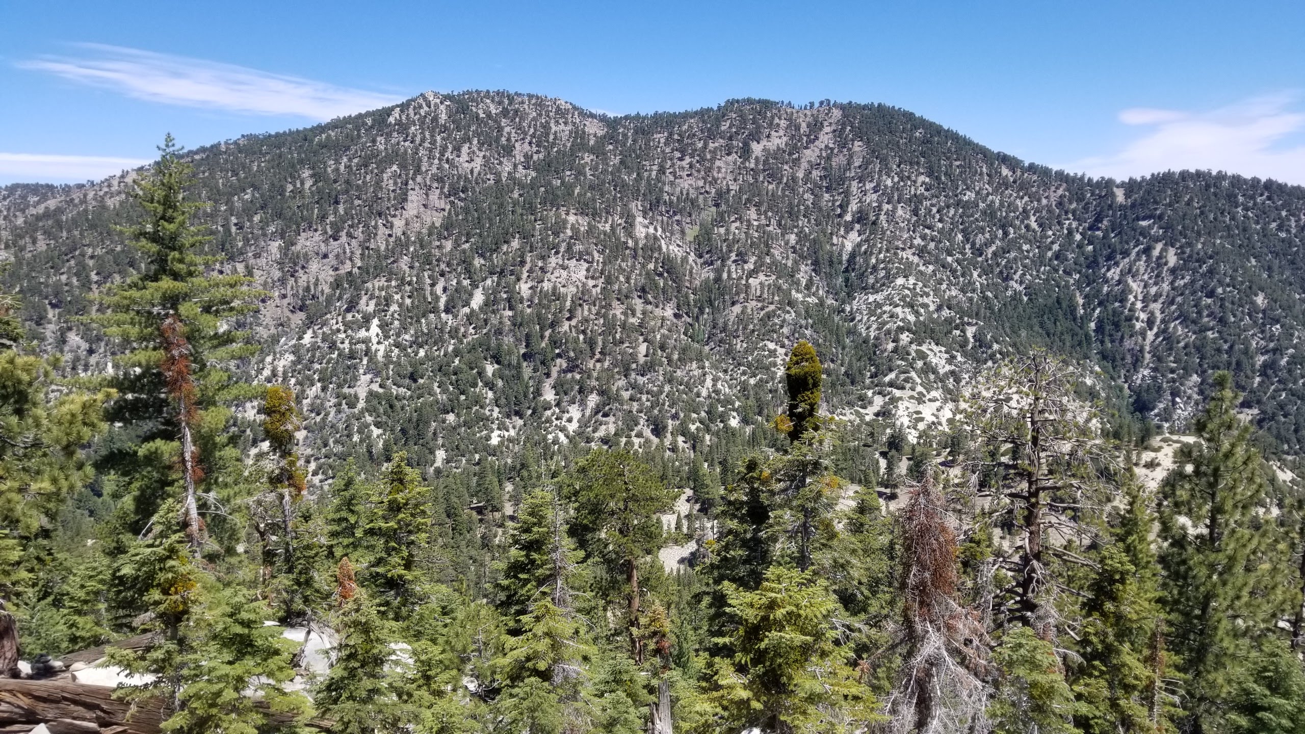 Waterman, taken from Twin Peaks