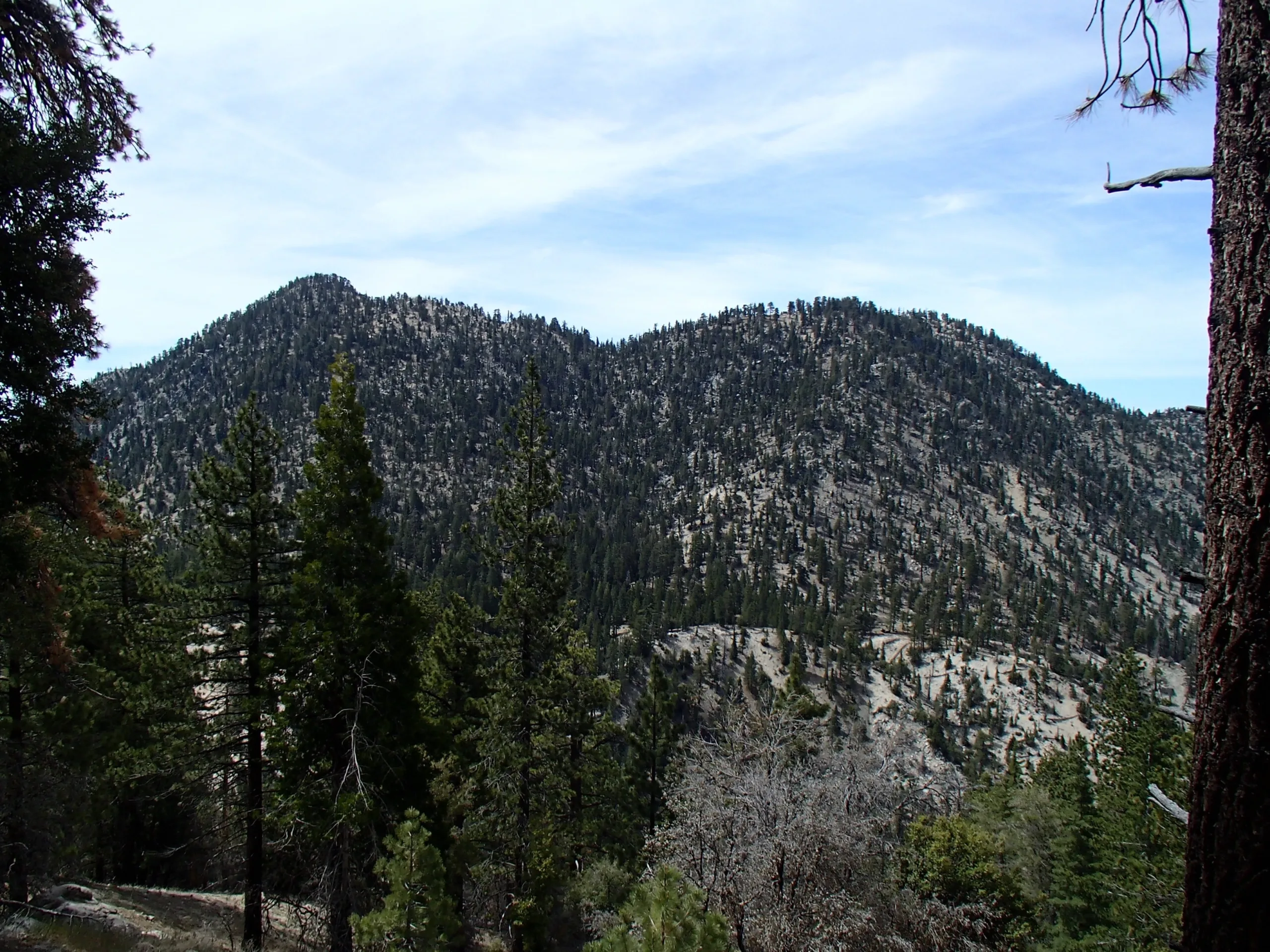 Twin Peaks