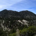 Twin Peaks