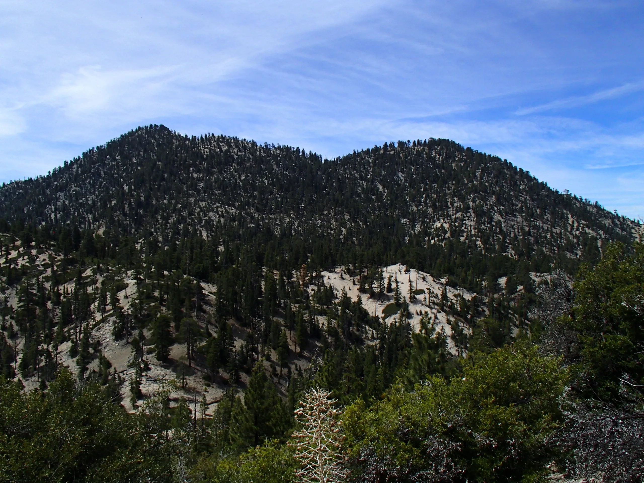Twin Peaks