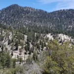 Twinpeaks, taken from Waterman saddle