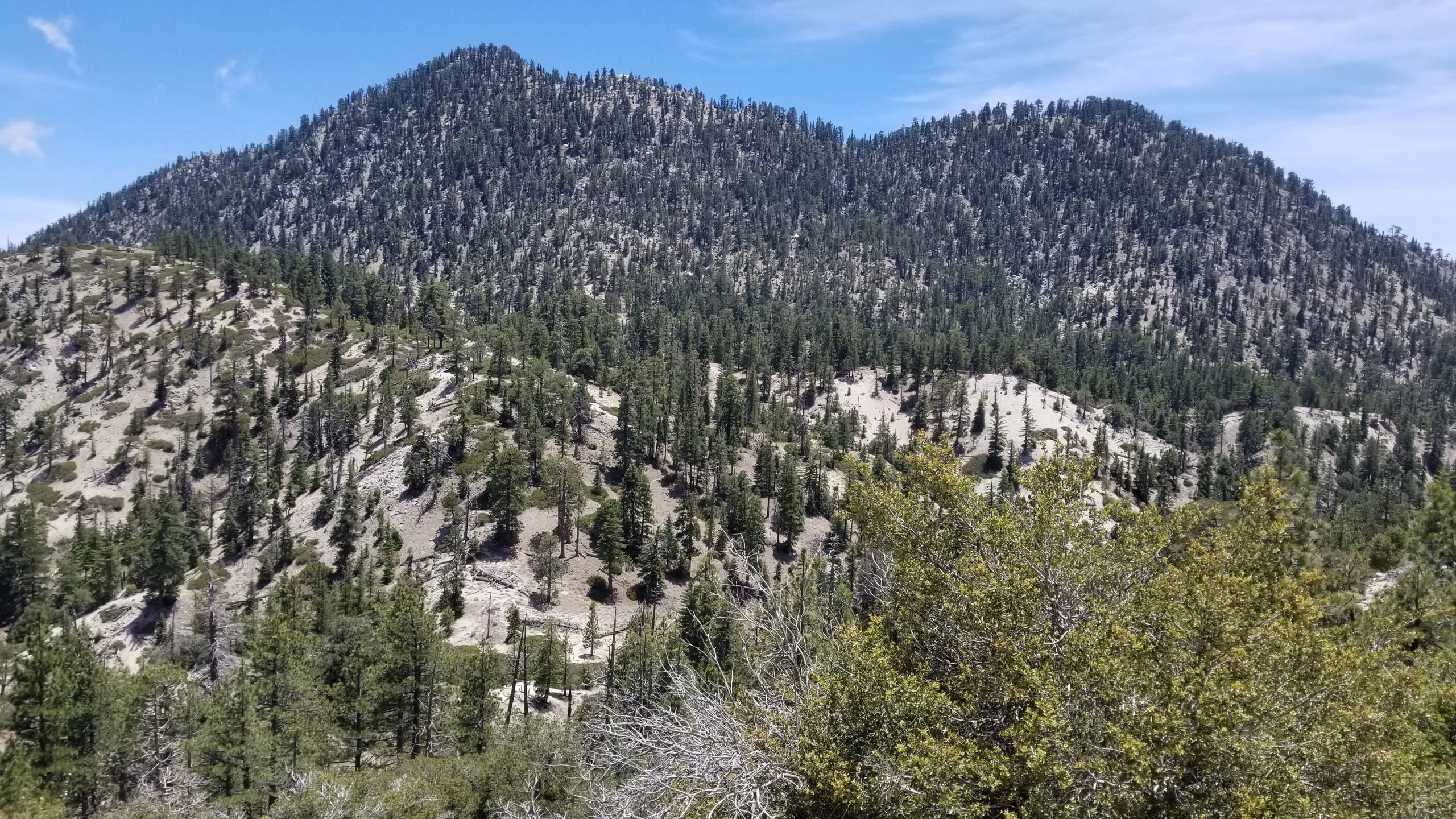 Twinpeaks, taken from Waterman saddle