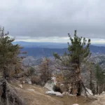 Twinpeaks summit view looking south