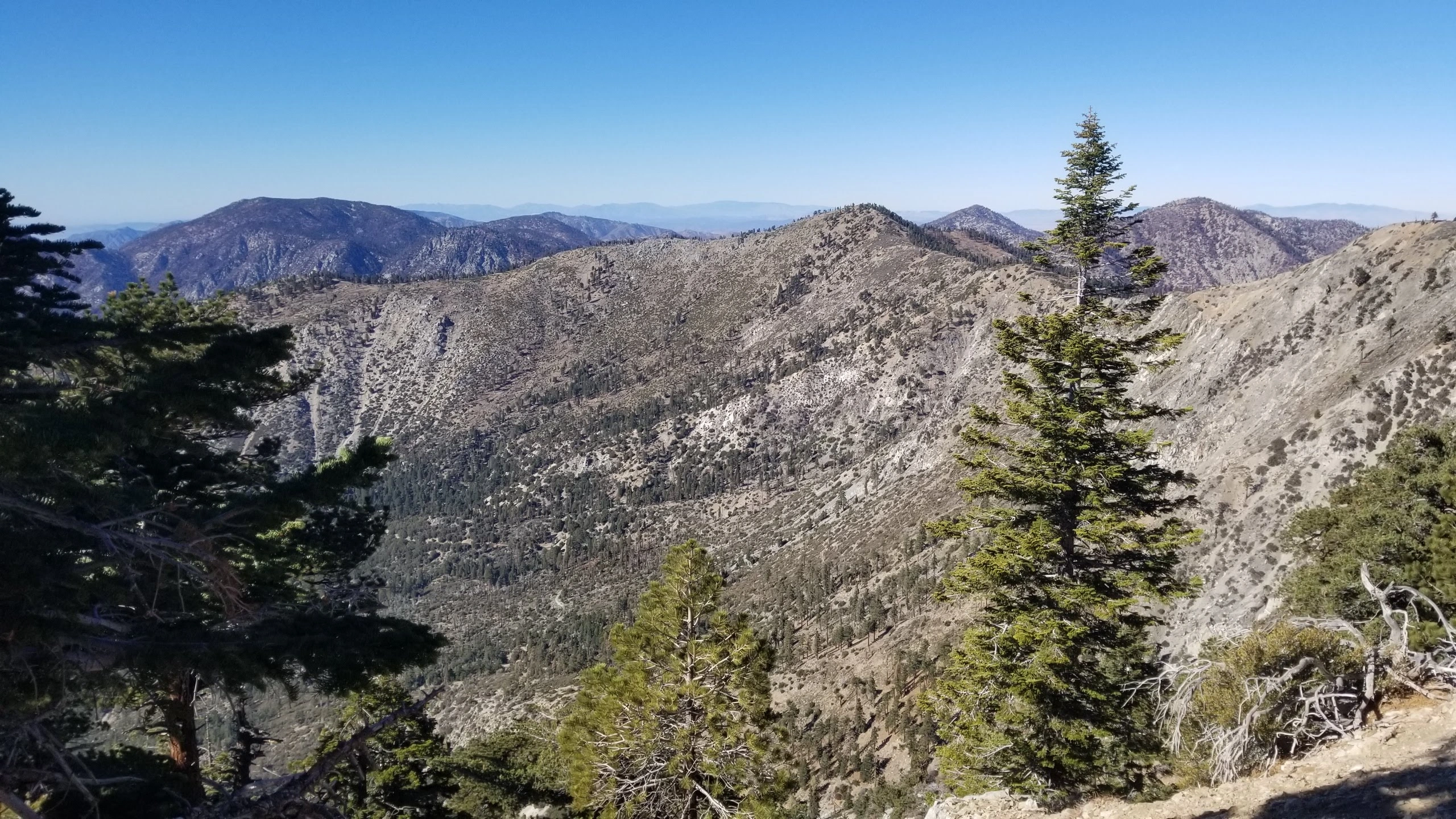 Islip, taken from the Hawkins Trail