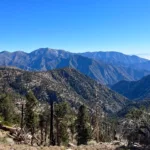 South Mount Hawkins, taken from Hawkins Trail