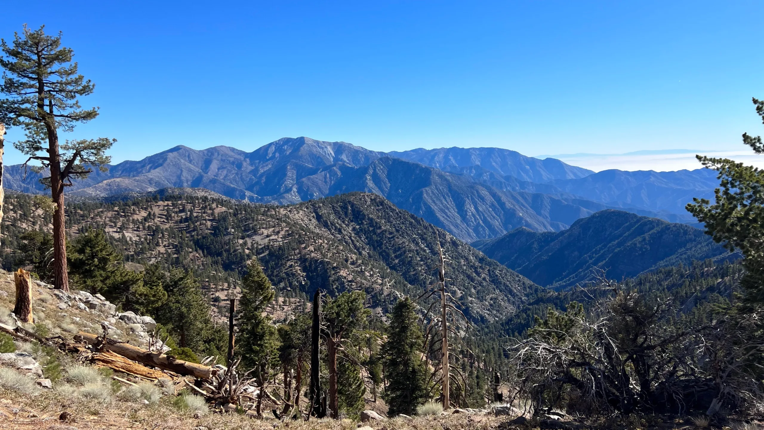 South Mount Hawkins, taken from Hawkins Trail