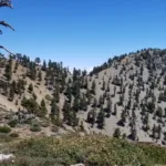 Middle Hawkins, taken from Hawkins Trail