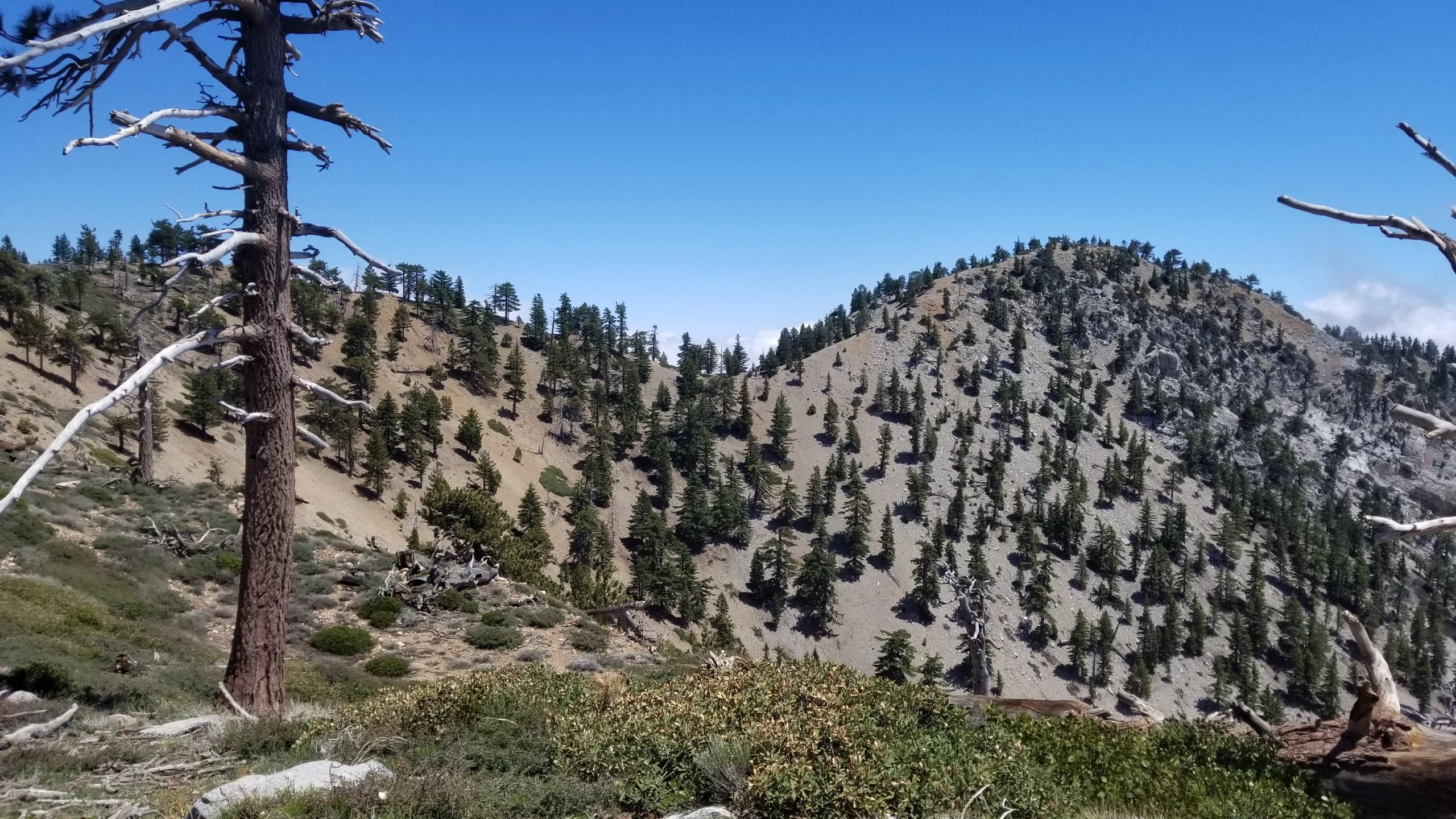 Middle Hawkins, taken from Hawkins Trail