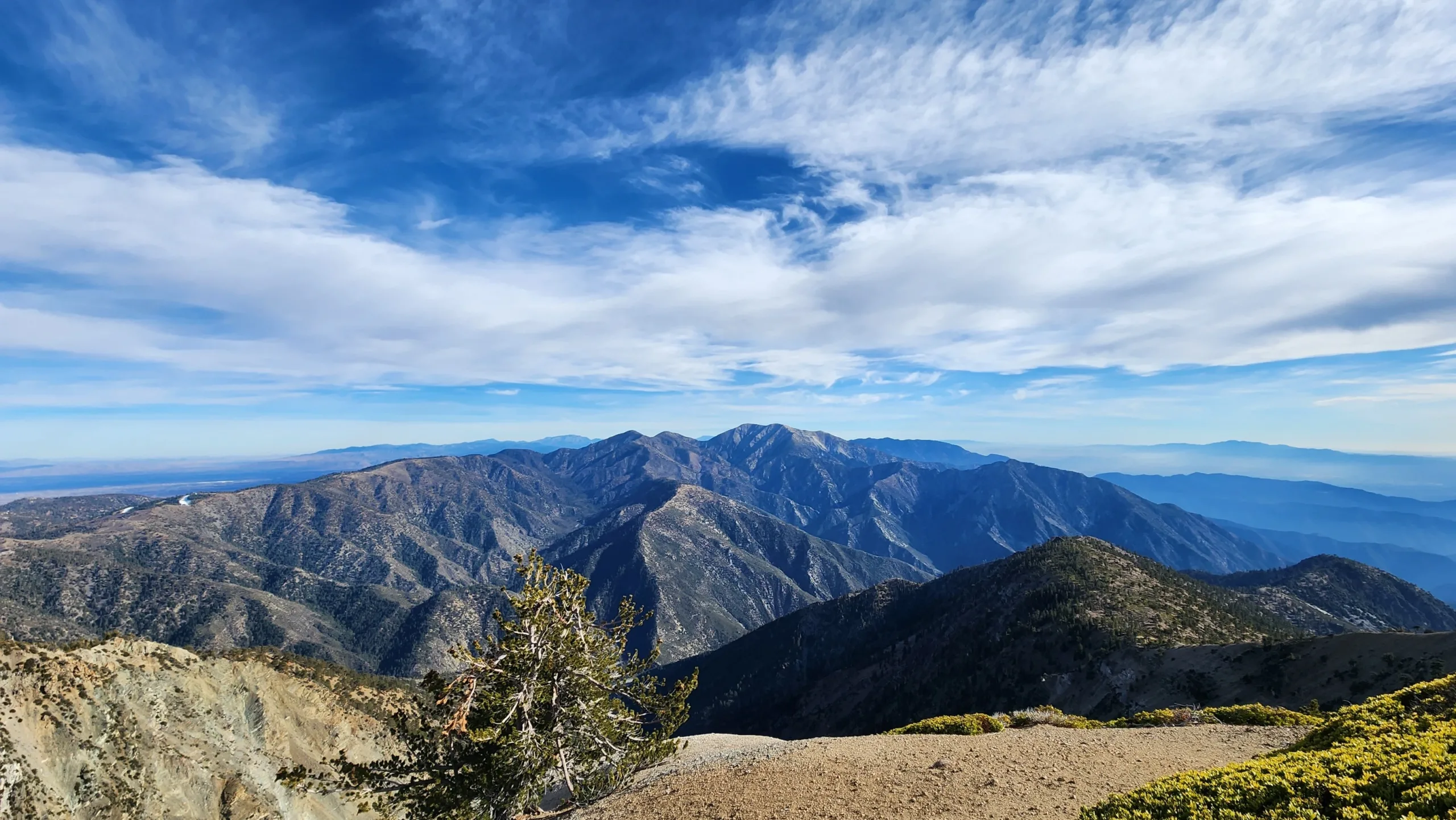 Looking east from the summit of Baden Powell